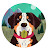 @user-re1gq8vv7m
