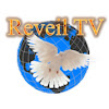 What could Reveil TV SAT buy with $100 thousand?