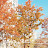 @user-bk3dj9vf1r