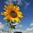 @user-uc7sx4cg2q