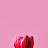 @user-om3jk7bp5o