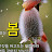 @user-vv8mb2rg9w