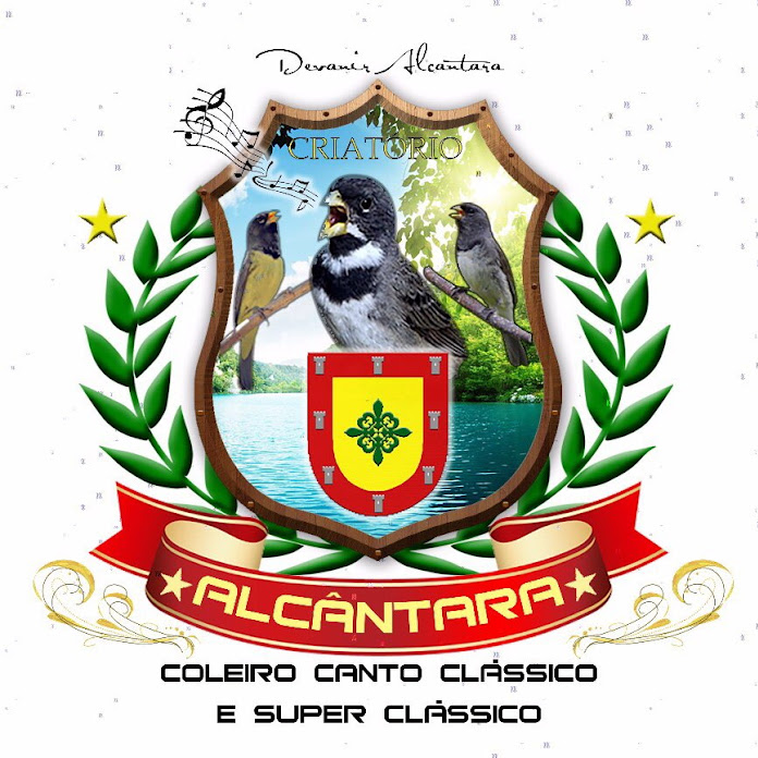 CRIATÓRIO ALCÂNTARA Net Worth & Earnings (2026)