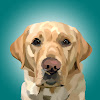 What could Magnus The Therapy Dog buy with $2.4 million?