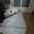 @user-lu4lo8ok8n