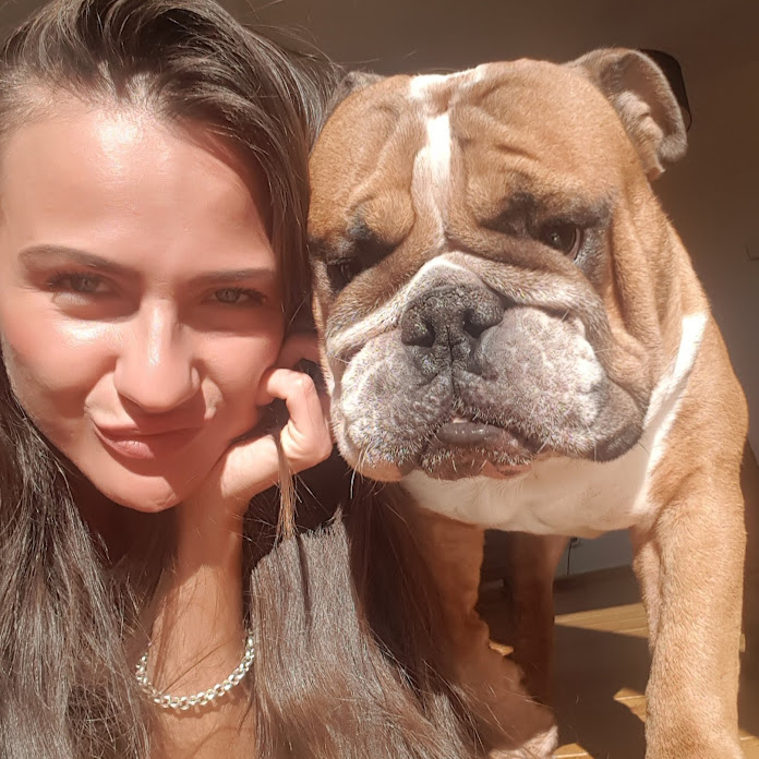 Enzo English Bulldog Net Worth & Earnings (2026)