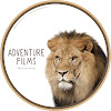 What could Africa Adventures buy with $357.8 thousand?
