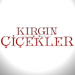 Kırgın Çiçekler Net Worth