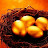 @user-cs4dm6qn6w