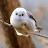 @user-zg1xp8cr5l