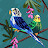 @user-cs2gz2uo6x