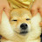 @user-wc6qv5oh6j