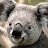 @user-id5wp7bx7d
