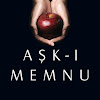 What could Aşk-ı Memnu buy with $3.14 million?