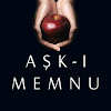 What could Aşk-ı Memnu buy with $3.1 million?