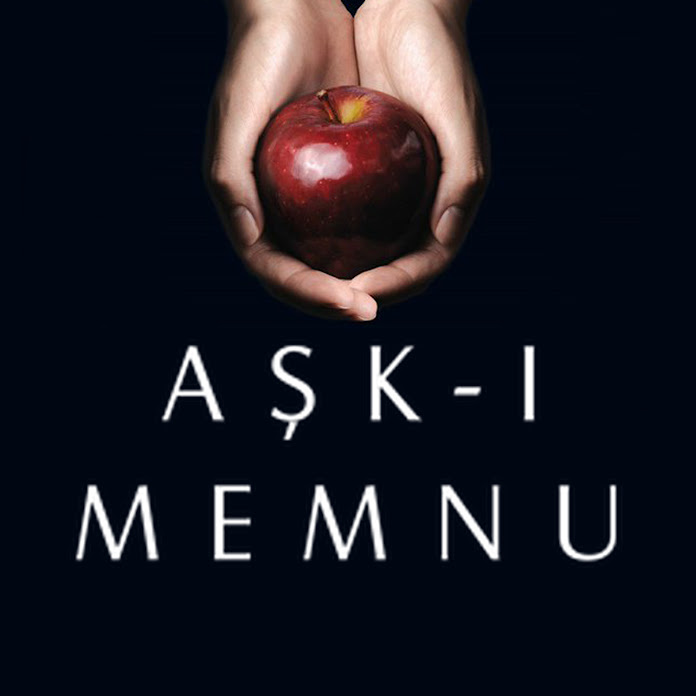 Aşk-ı Memnu Net Worth & Earnings (2026)