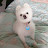 @user-fl5jg4vc6t