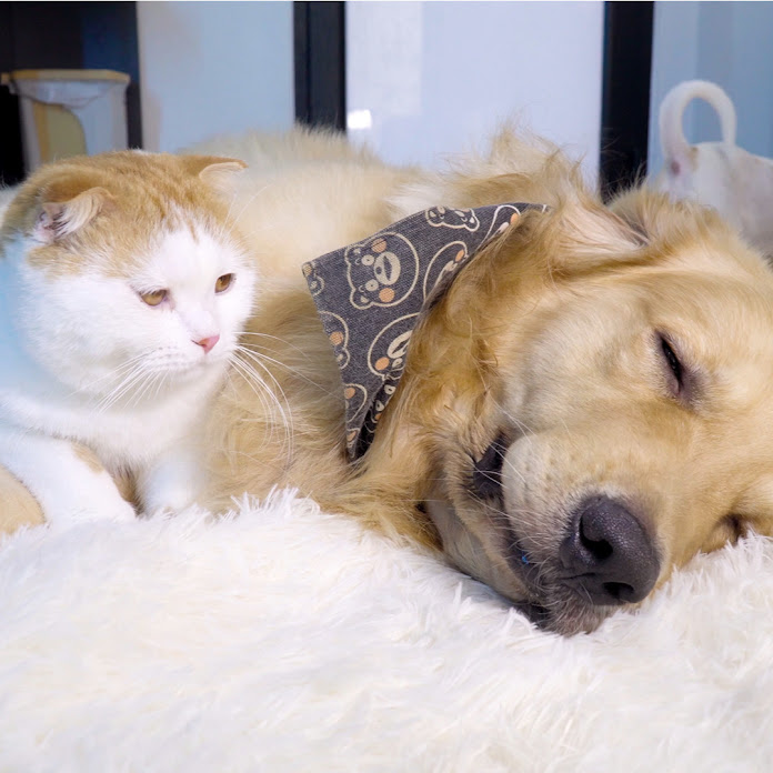 Toby & Pi Family Net Worth & Earnings (2026)