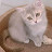 @user-wf5qj1rw9d