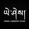 What could Yeshi Lhendup Films buy with $481.9 thousand?