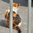 @user-dq8jq6rg5z