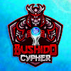 What could BushidoCypher buy with $100 thousand?