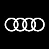 What could Audi India buy with $100 thousand?