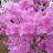 @user-wp1lt4pi8w