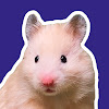 What could HAMSTERS SHOW buy with $100 thousand?