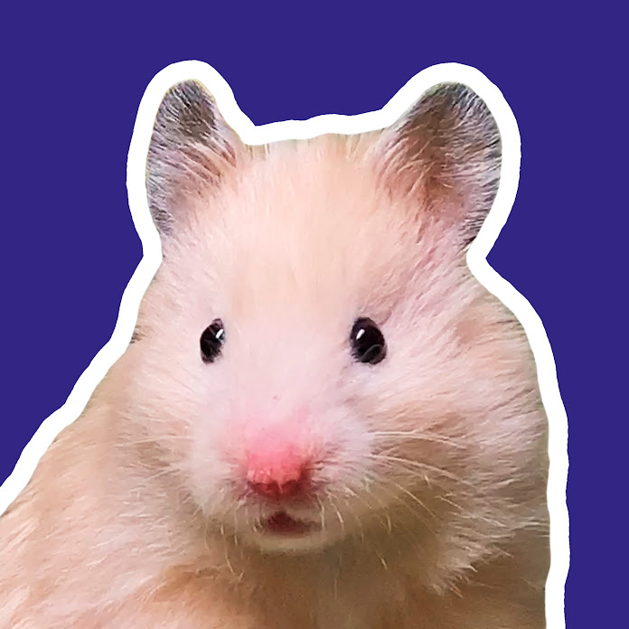 HAMSTERS SHOW Net Worth & Earnings (2026)