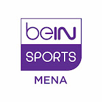 beIN SPORTS Net Worth