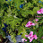 @user-mu4fz4cp5m