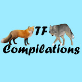 TF Compilations