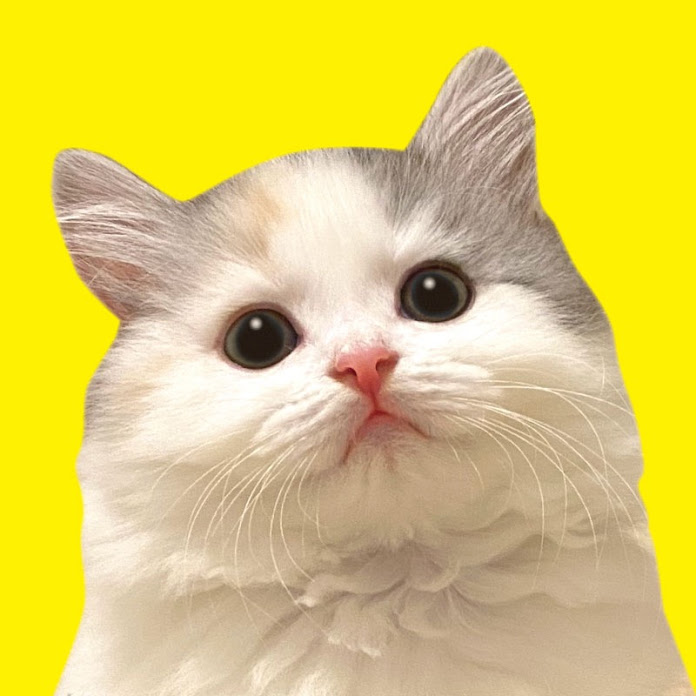 ニャンチューバーつくし 【関西弁でしゃべる猫】 Net Worth & Earnings (2026)