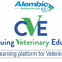 Thumbnail of related channel