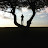@Bleedzz Avatar
