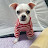 @user-rd1ed8uo5z