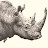@RhinoAndBirds