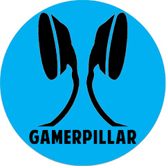 Gamerpillar net worth