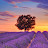 @user-oz7lg2rs2x