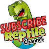 What could Reptile Channel buy with $100 thousand?