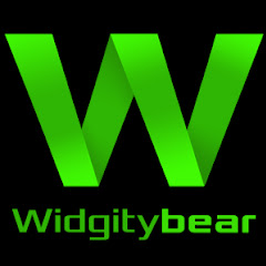 Widgitybear net worth