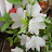 @user-lw9of6qr6g
