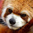 @user-uw3qk6wf9i