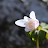 @user-pm6cf1mx3f