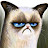 @GrumpyCat97