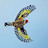 @bethblackman5801 Avatar