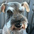 @filenotfound1000 Avatar