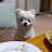 @user-ne7pu3ce6l