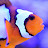 @PurelyAquatic Avatar